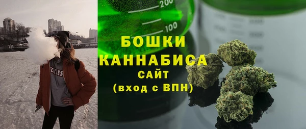 мдпв Волосово