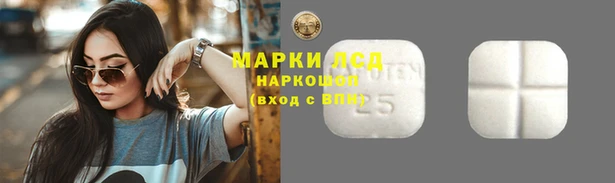 мдпв Волосово
