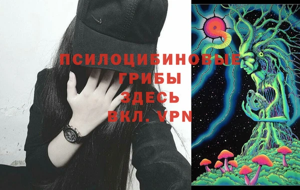 мдпв Волосово