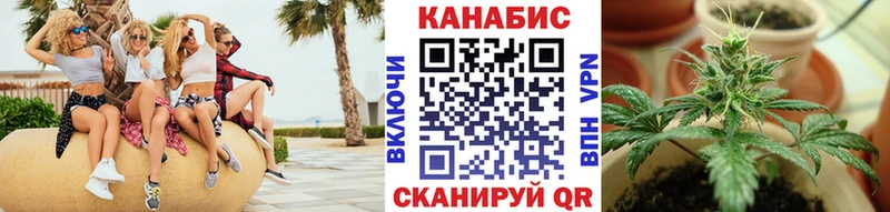 наркотики  Новосокольники  МАРИХУАНА VHQ 